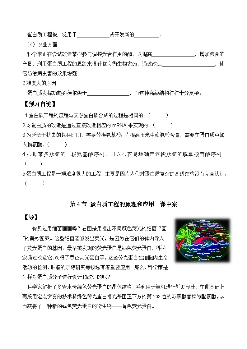 人教版高中生物选择性必修三3.4《蛋白质工程的原理和应用》导学案（原卷版）第2页