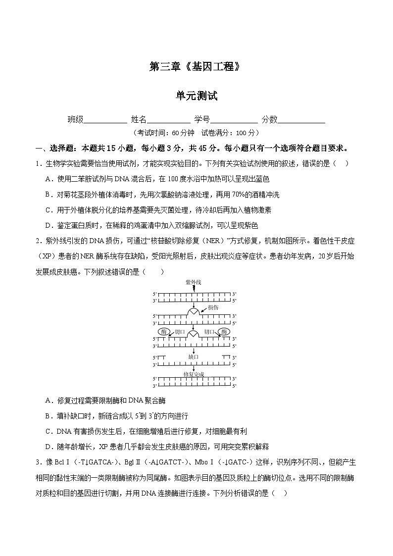 人教版高中生物选择性必修三第3章《基因工程》（单元测试） （原卷版）第1页