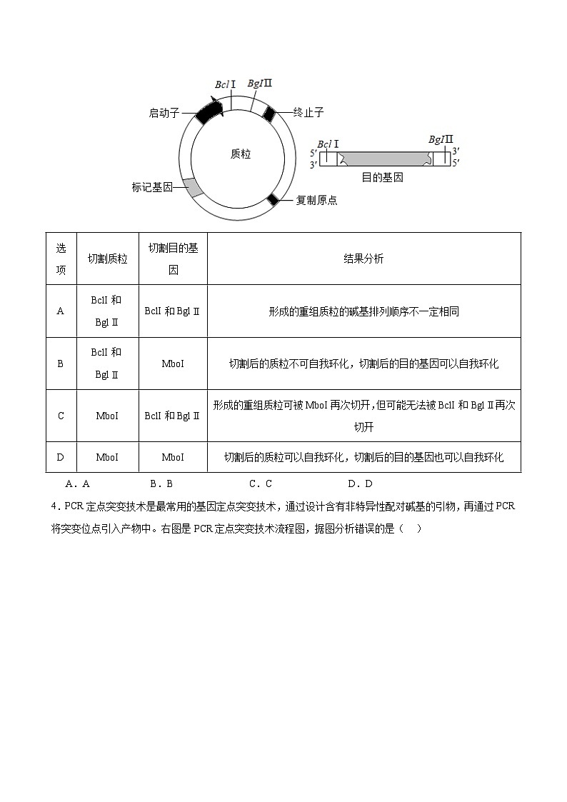 人教版高中生物选择性必修三第3章《基因工程》（单元测试） （原卷版）第2页