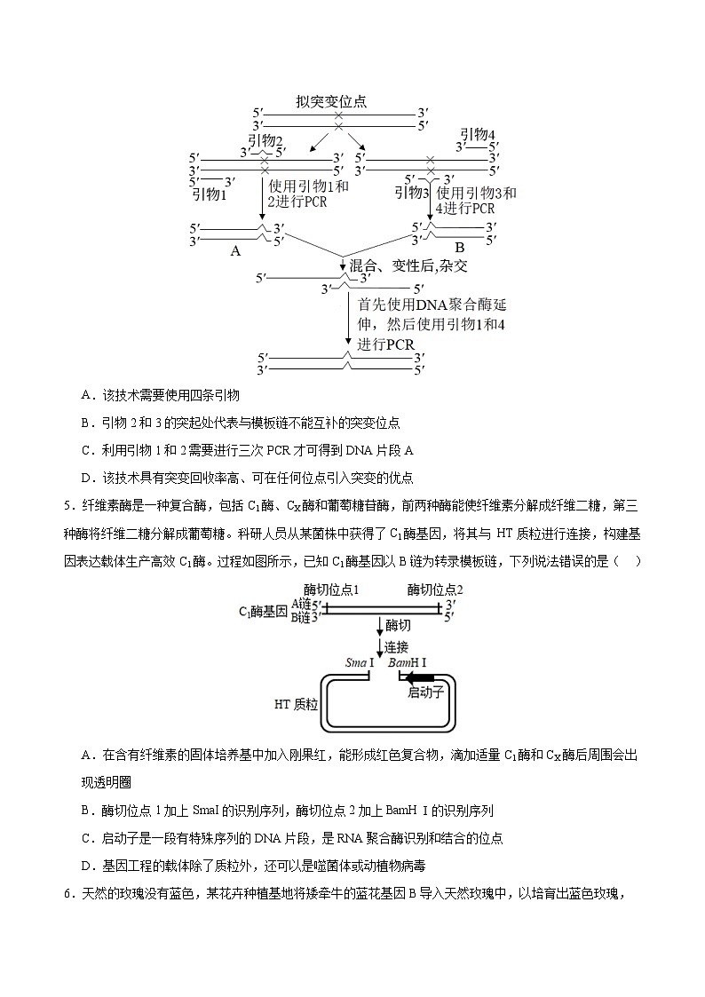 人教版高中生物选择性必修三第3章《基因工程》（单元测试） （原卷版）第3页