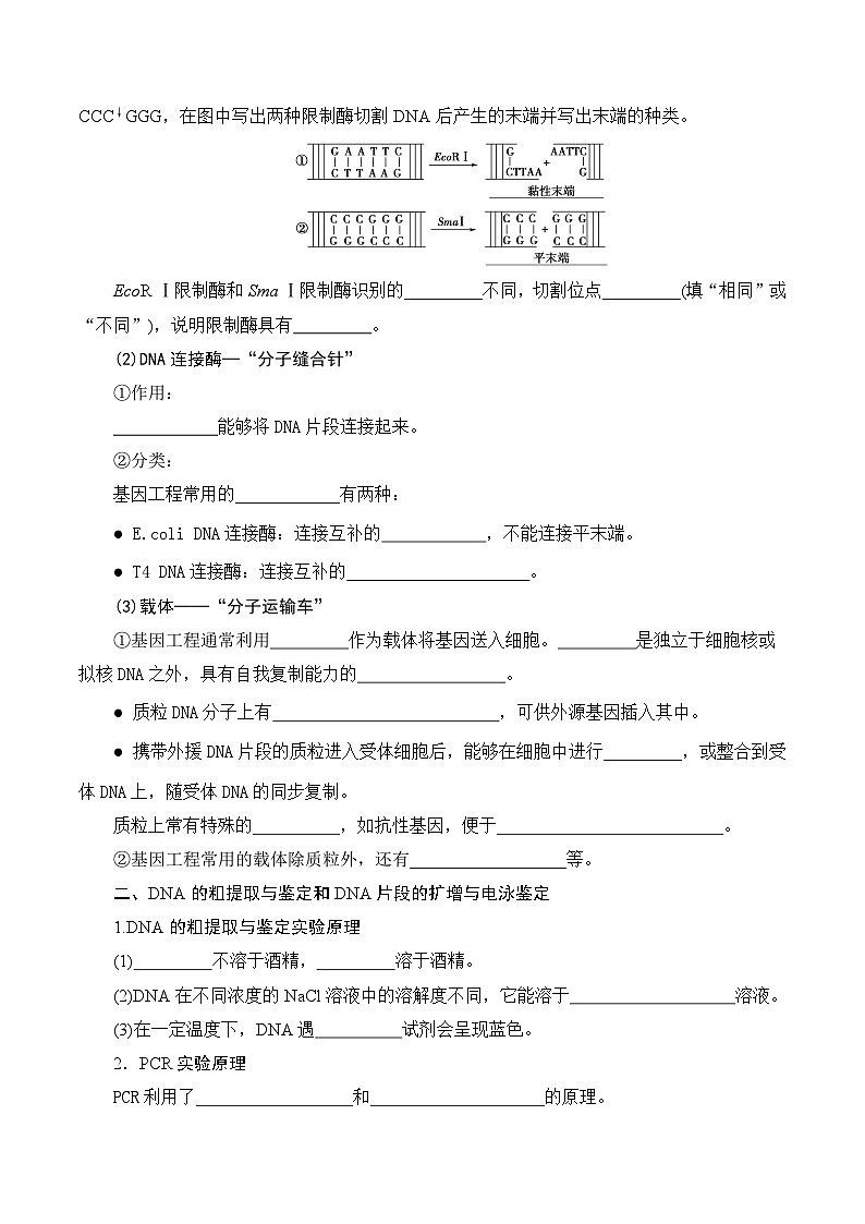 人教版高中生物选择性必修三第3章《基因工程》（单元知识清单）（填空版）第2页