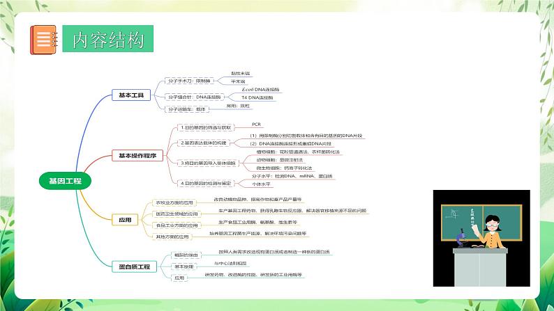 人教版高中生物选择性必修三第3章《基因工程》（单元复习课件）第2页