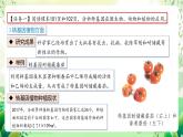 人教版高中生物选择性必修三4.1《转基因产品的安全性》课件+教案+分层练习+导学案