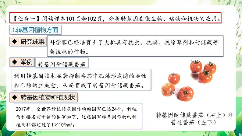 人教版高中生物选择性必修三4.1《转基因产品的安全性》（教学课件）第5页