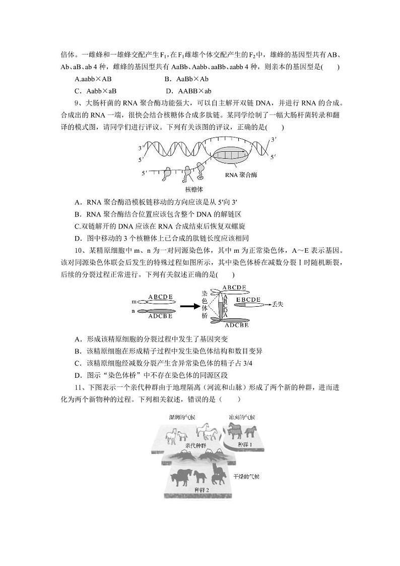 湖北省随州市部分高中联考协作体2025届高三上学期12月联考-生物试题+答案第3页