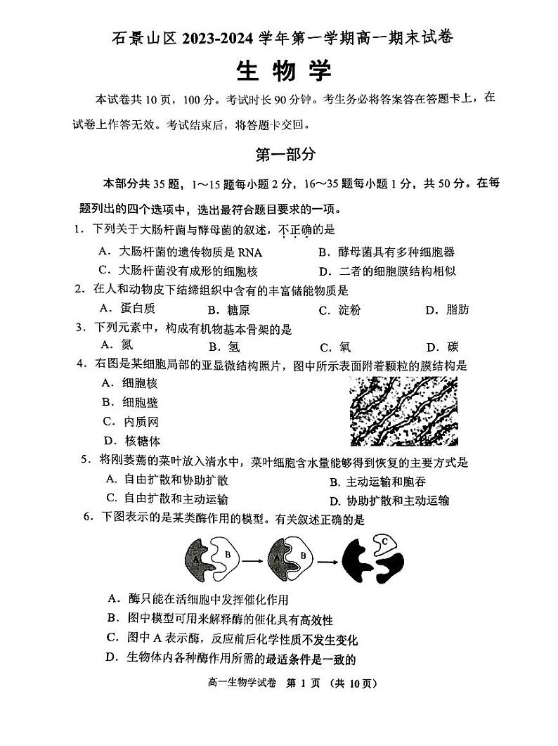 2024北京石景山高一（上）期末生物试卷（有答案）第1页