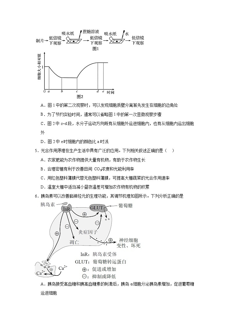 2025常德汉寿县一中高三上学期12月月考生物试题含解析第2页