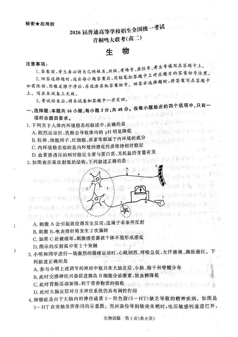 2025河南省青桐鸣大联考高二上学期12月月考试题生物PDF版含解析第1页