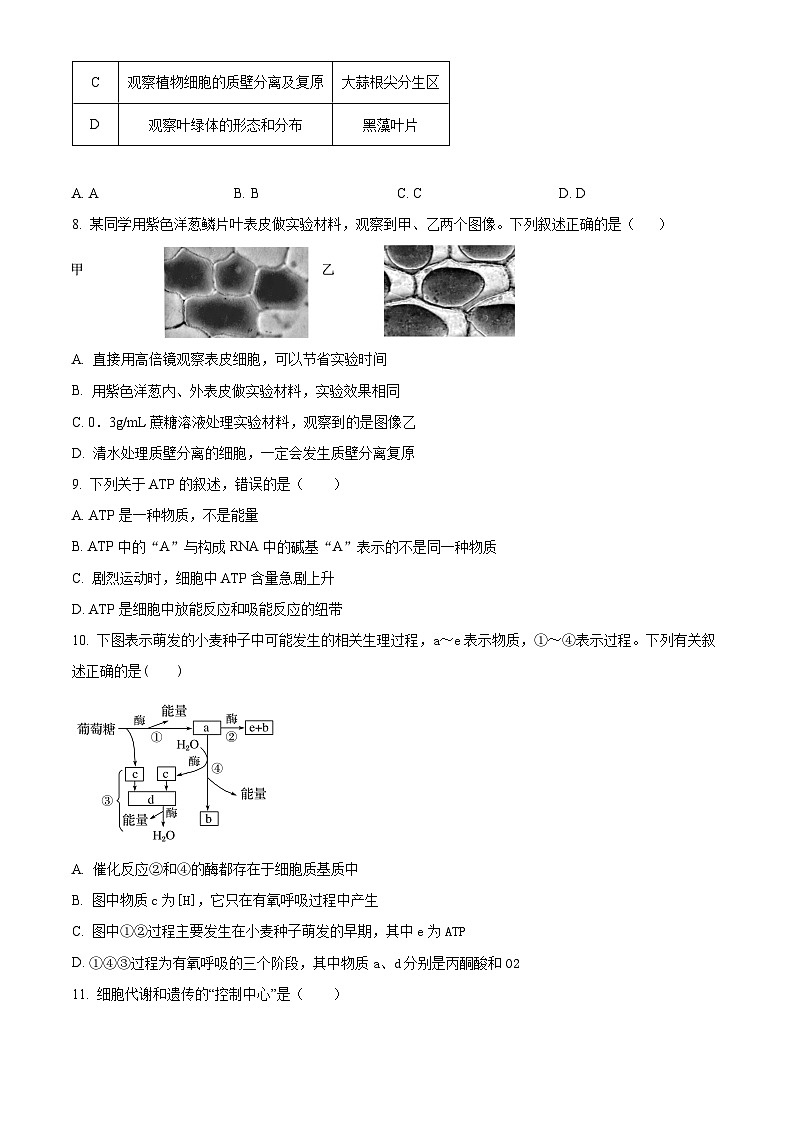 湖南省娄底市涟源市部分学校高一选科考试2024-2025学年高一上学期12月月考生物试题无答案第2页