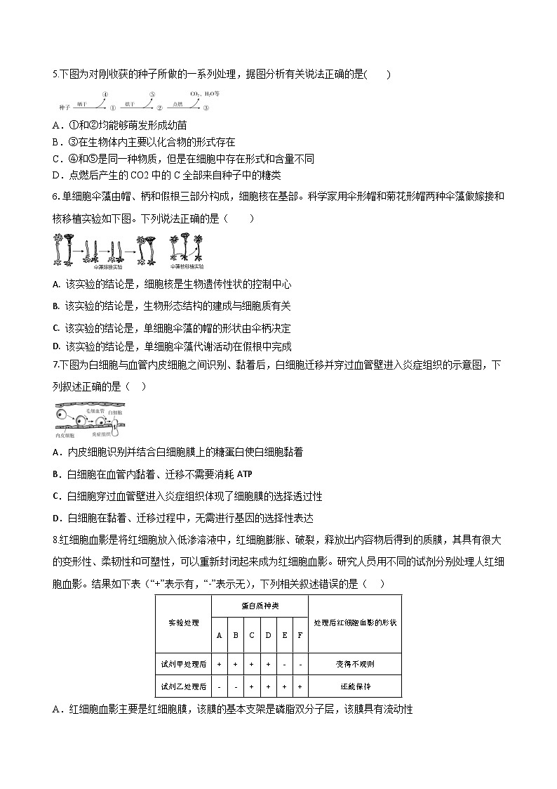 2025西安部分学校高一上学期12月联考试题生物含答案第2页