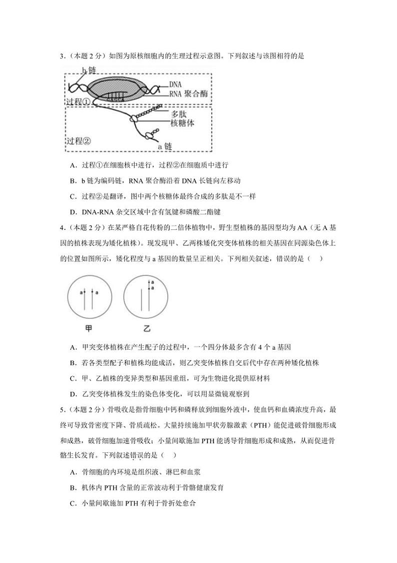 2024～2025学年福建师范大学附属中学高三(上)12月模拟考试生物试卷(含答案)第2页