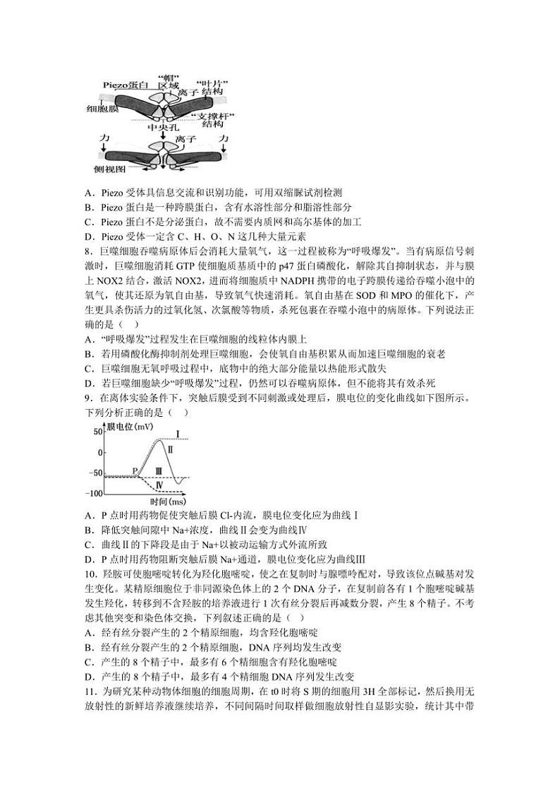 2024～2025学年江西省宜春市丰城中学高三(上)12月创新班月考生物试卷(含答案)第3页