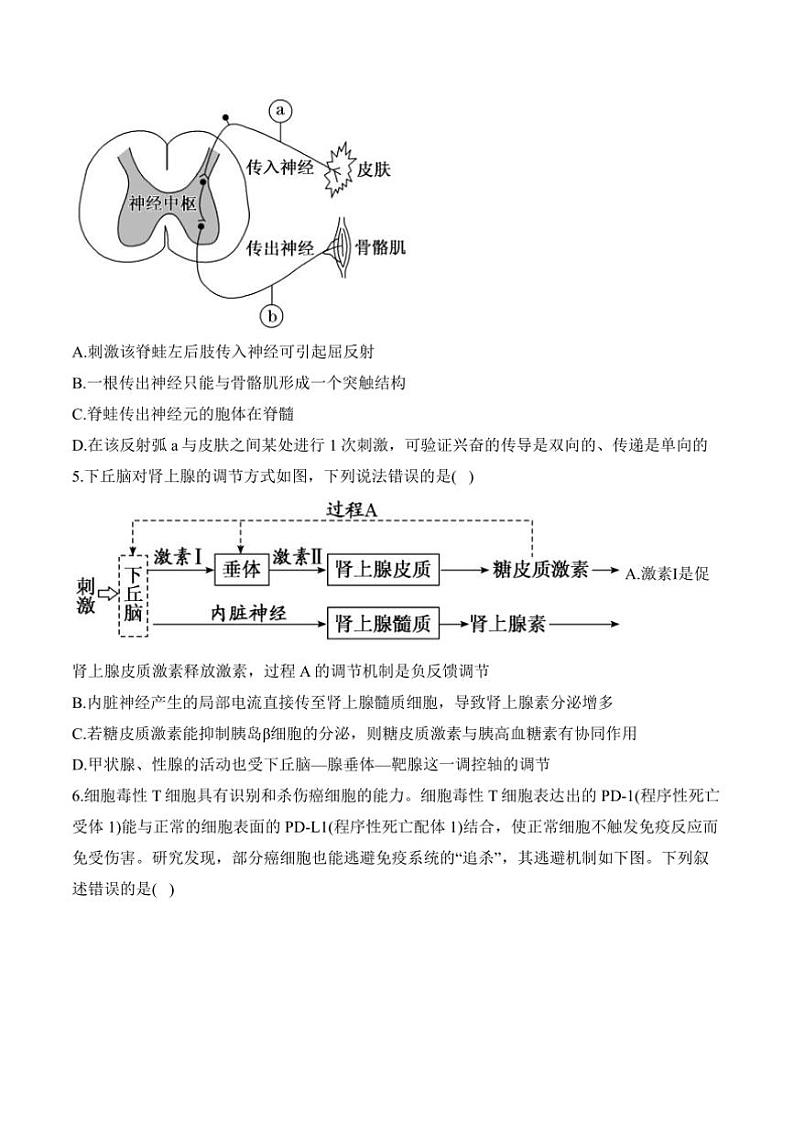2024～2025学年高二(上)生物苏教版(2019)期末模拟卷B卷试卷(含答案)第2页