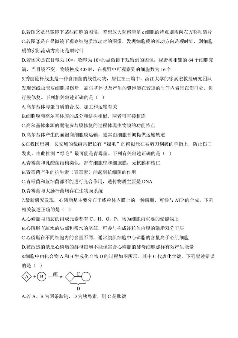 2024～2025i学年高一(上)生物浙科版(2019)期末模拟卷A卷试卷(含答案)第2页