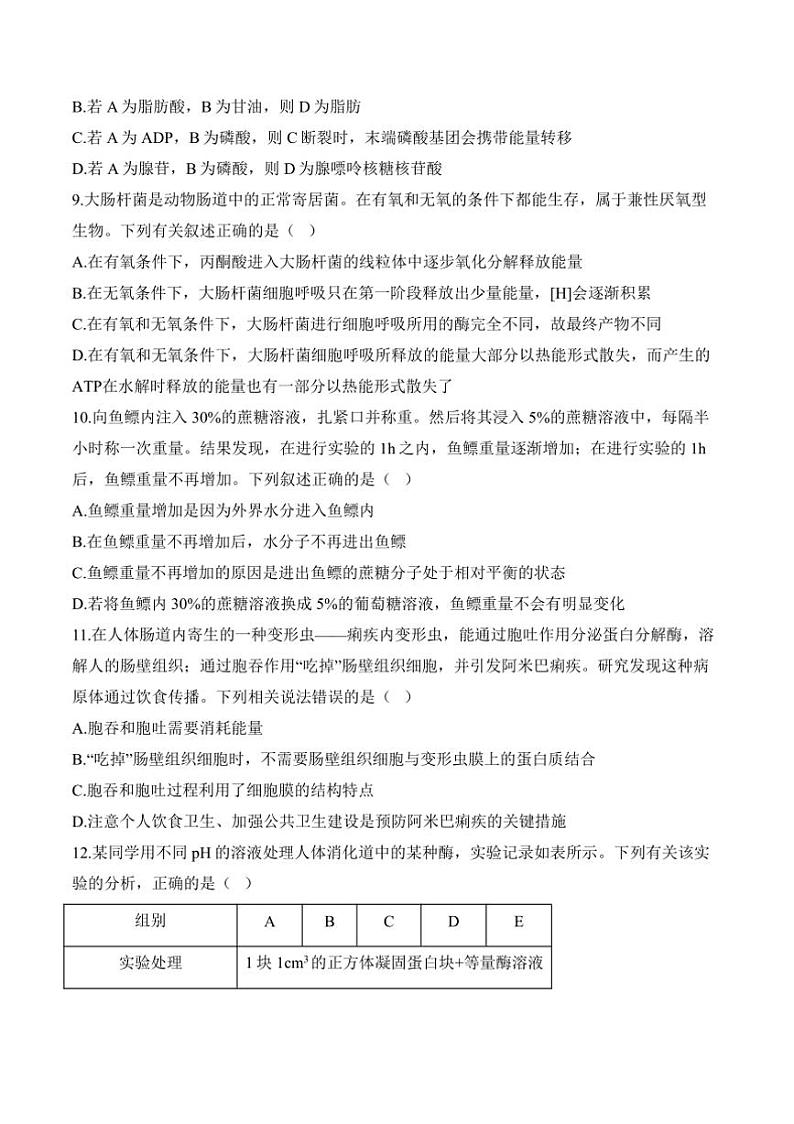 2024～2025i学年高一(上)生物浙科版(2019)期末模拟卷A卷试卷(含答案)第3页