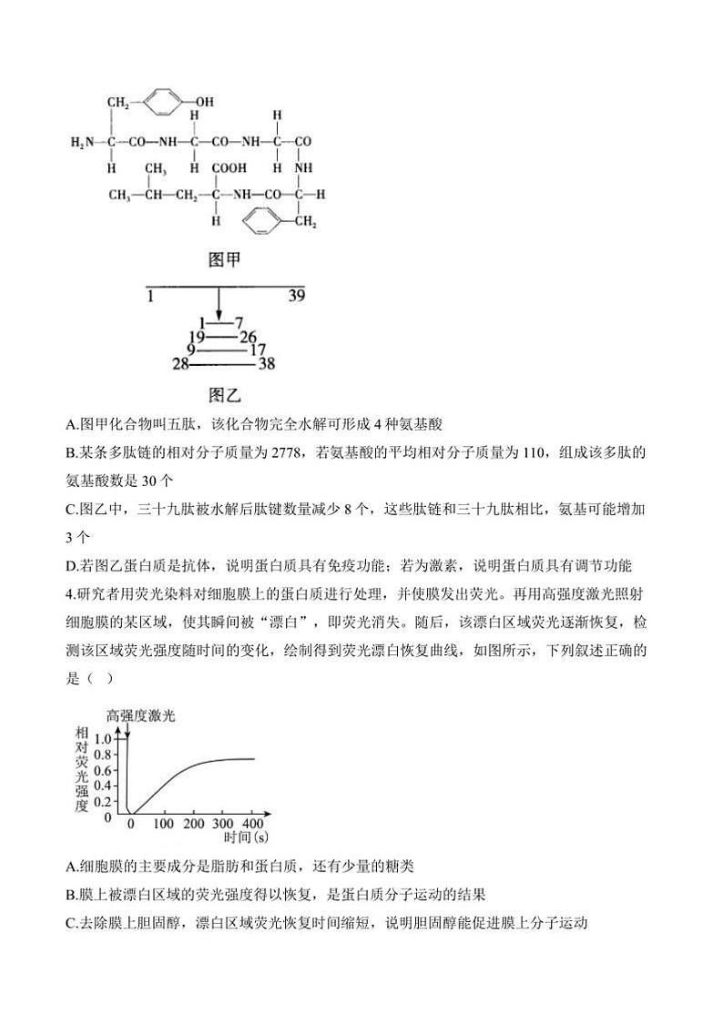 2024～2025i学年高一(上)生物浙科版(2019)期末模拟卷B卷试卷(含答案)第2页
