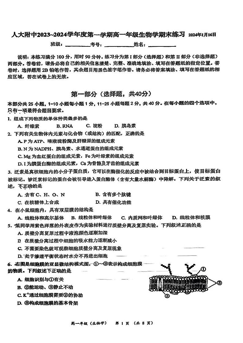 人大附中2023~2024学年度第一学期高一年级生物学期末练习（无答案）第1页