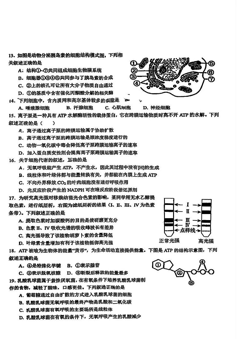 人大附中2023~2024学年度第一学期高一年级生物学期末练习（无答案）第3页