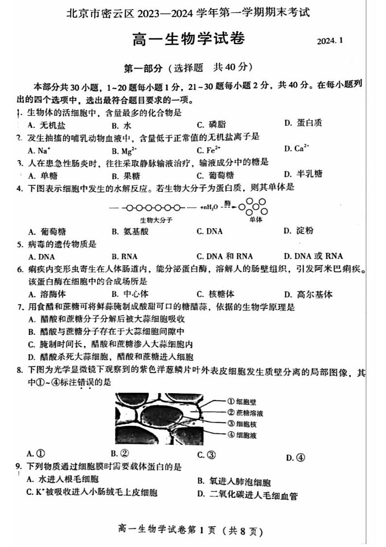 2024北京密云高一（上）期末生物试卷（无答案）第1页