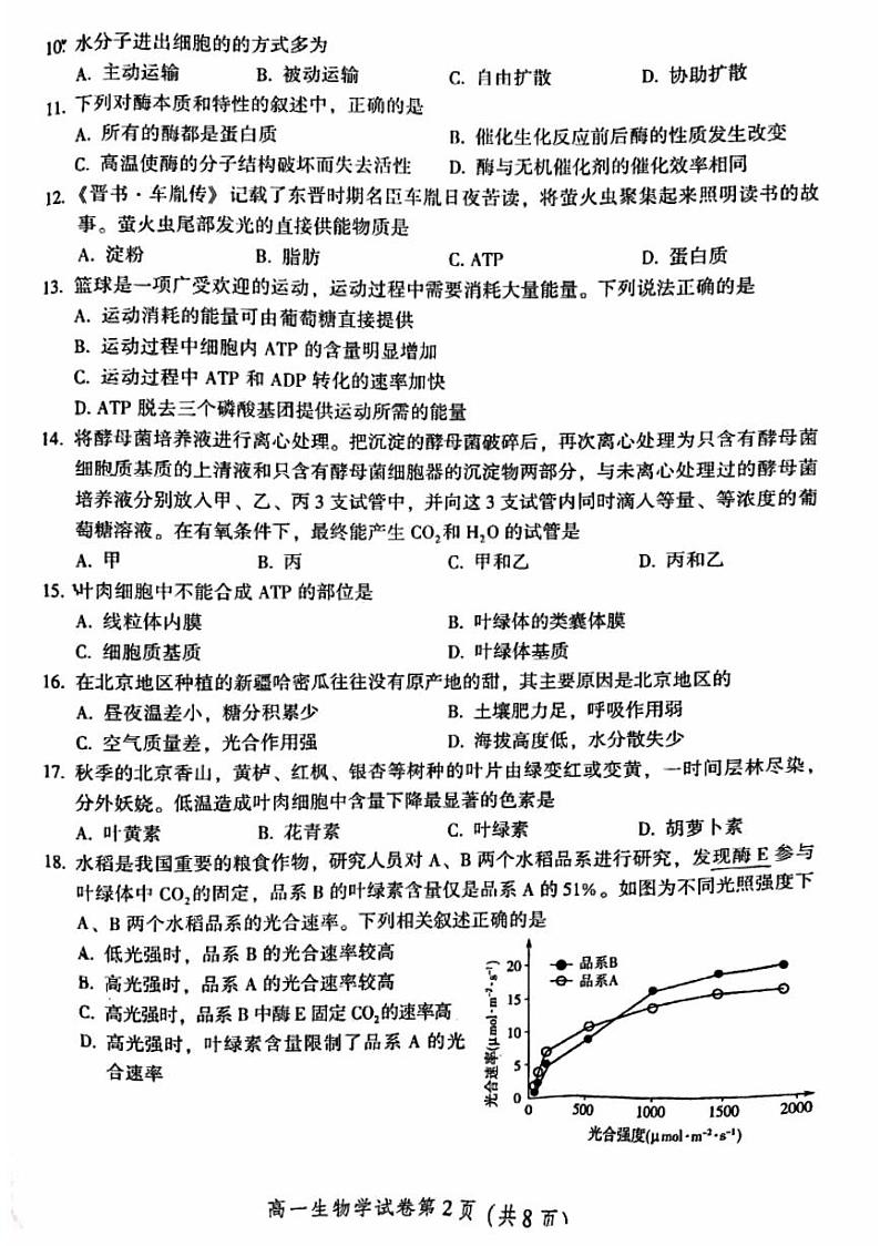 2024北京密云高一（上）期末生物试卷（无答案）第2页