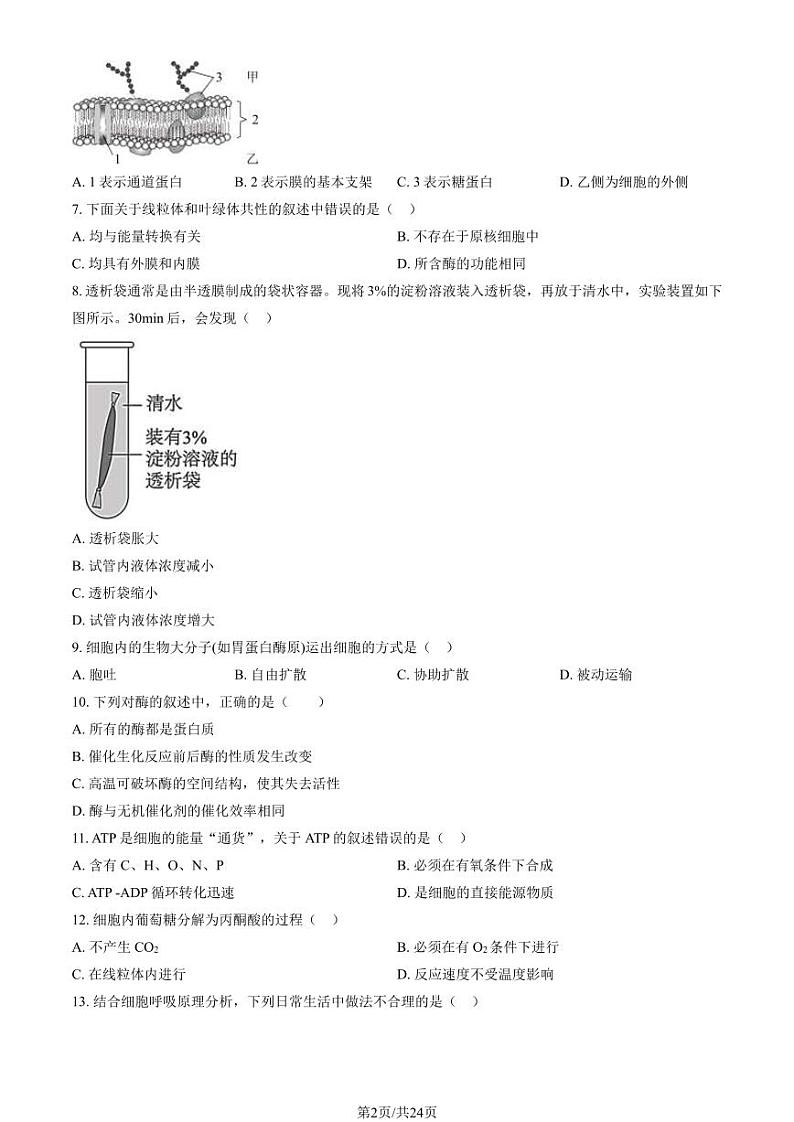2024北京顺义高一（上）期末生物试卷（教师版）第2页