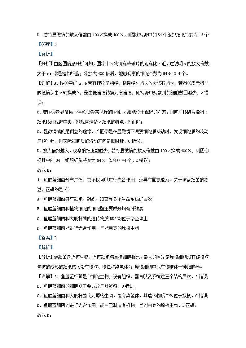 安徽省池州市贵池区2023_2024学年高一生物上学期期中试题含解析第3页