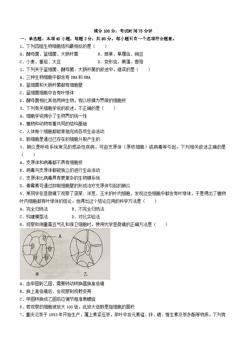 江苏省扬州市2023_2024学年高一生物上学期期中试题无答案第1页