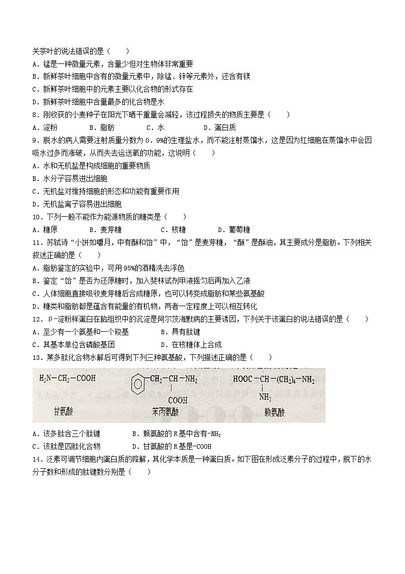 江苏省扬州市2023_2024学年高一生物上学期期中试题无答案第2页
