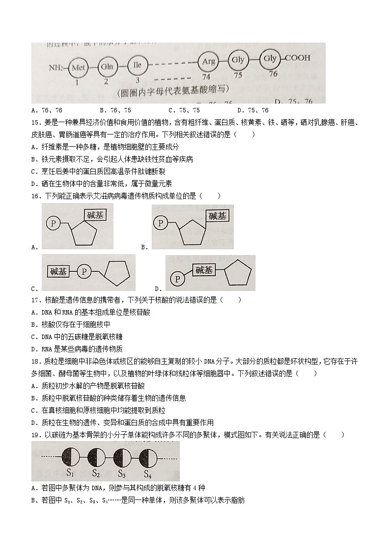 江苏省扬州市2023_2024学年高一生物上学期期中试题无答案第3页