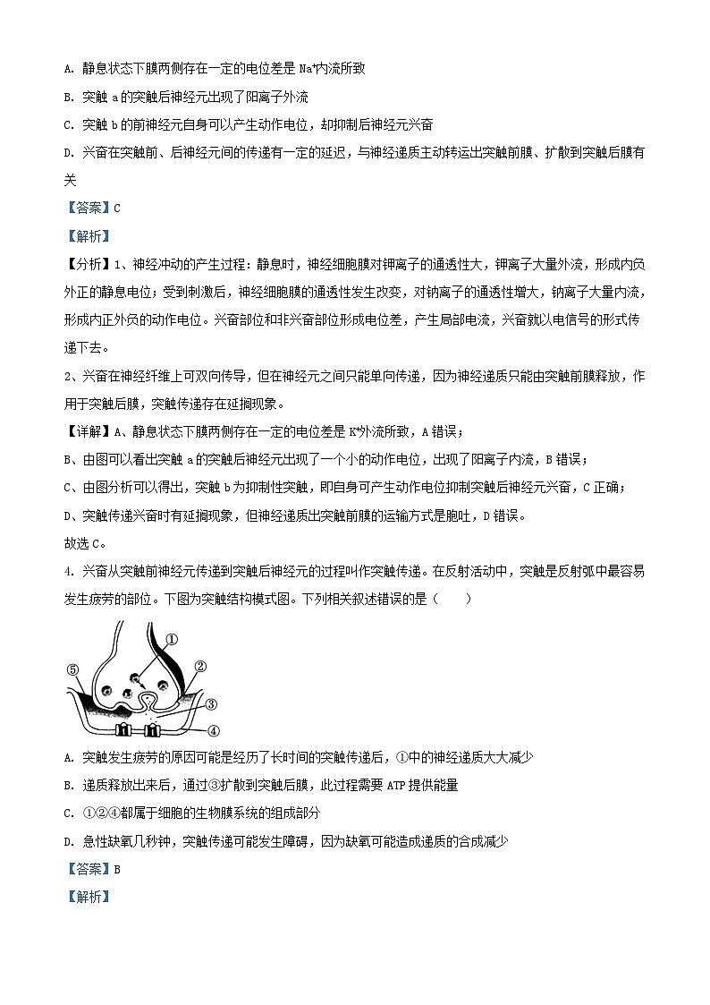 江苏省扬州市高邮市2023_2024学年高二生物上学期10月测试试题含解析第3页
