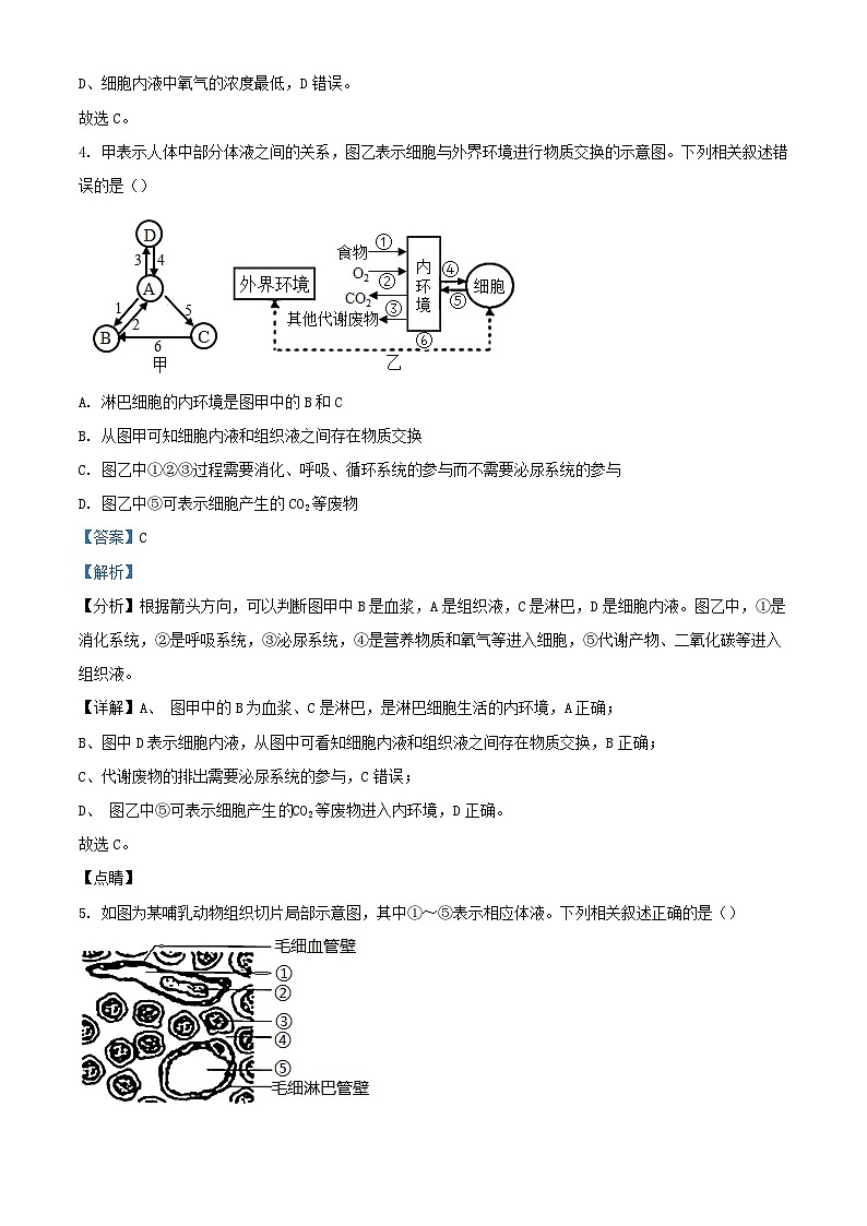 宁夏银川市贺兰县2023_2024学年高二生物上学期第一次月考试题含解析第3页