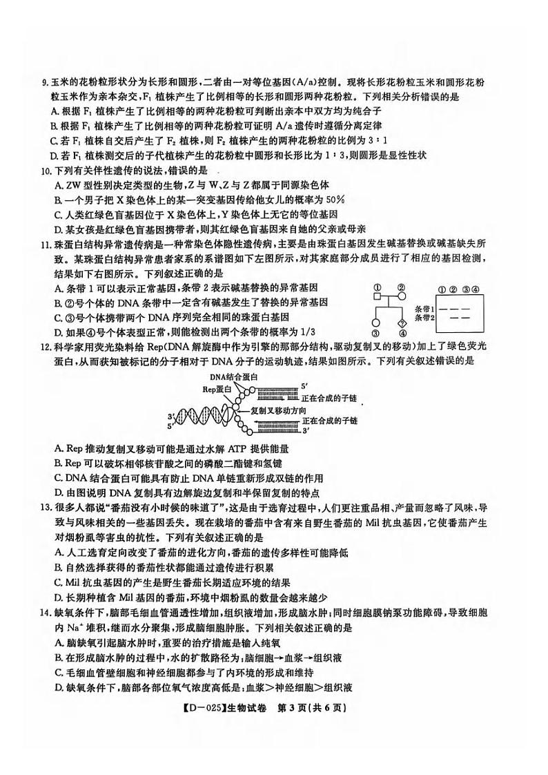 生物丨安徽省皖江名校联盟2025届高三12月联考生物试卷及答案第3页