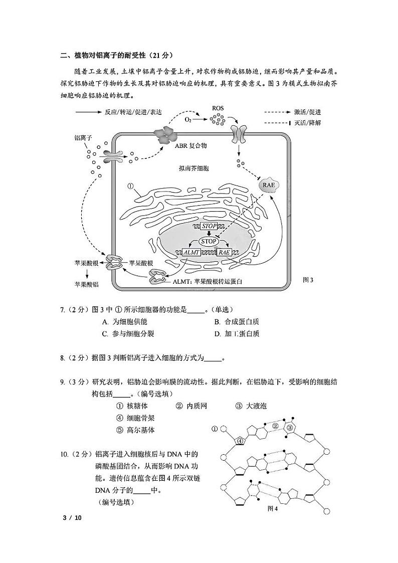 上海市杨浦区2023-2024学年高二下学期期末考试生物试卷第3页