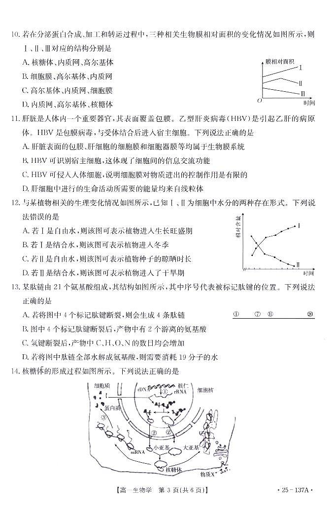 福建省宁德市部分达标学校2024-2025学年高一上学期11月期中质量监测生物试题第3页