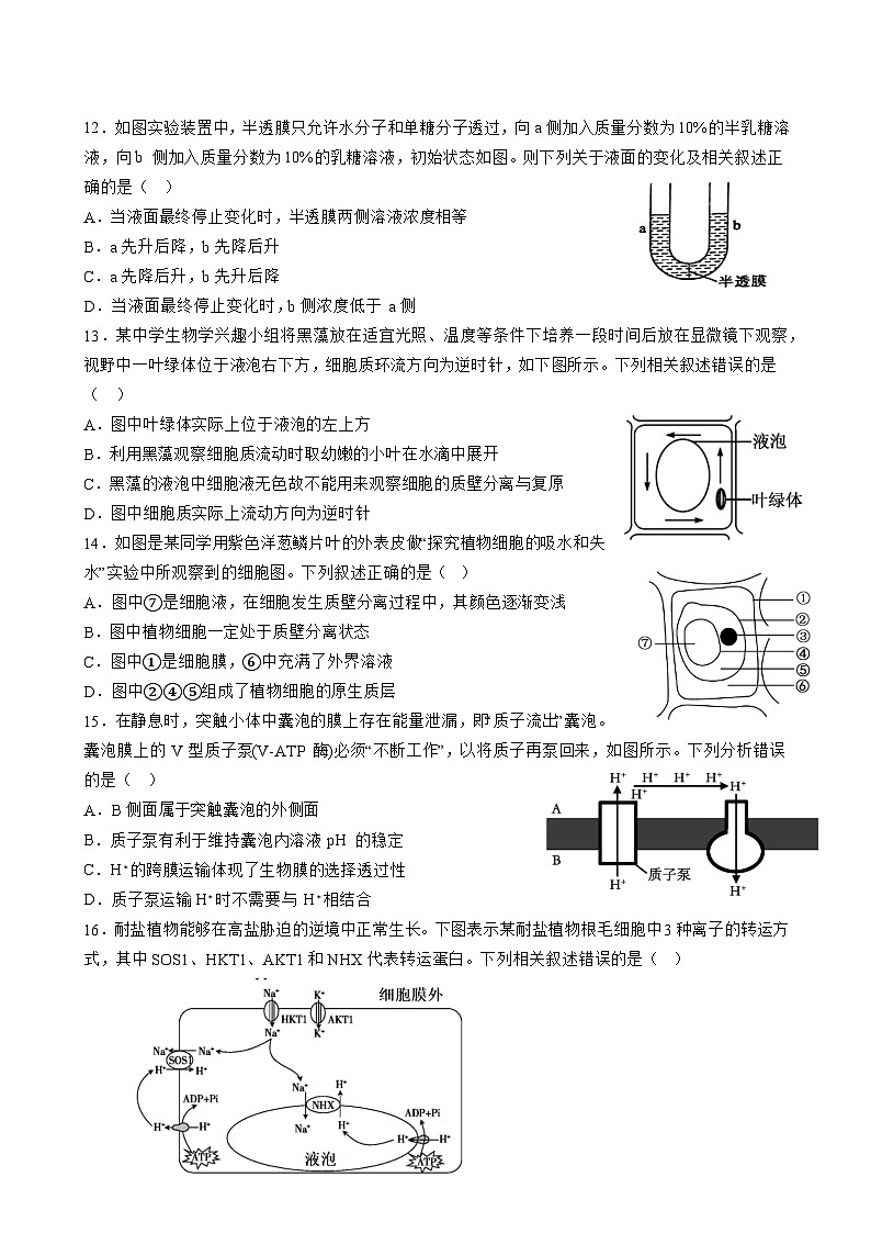 福建省莆田市第二十五中学2024-2025学年高一上学期12月月考生物试题第3页