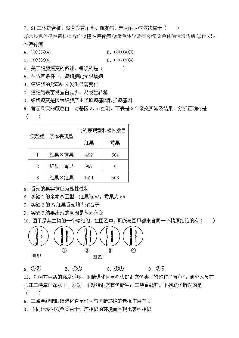 福建省莆田市第十五中学2024-2025学年高二年级上学期期中考试生物试题第2页