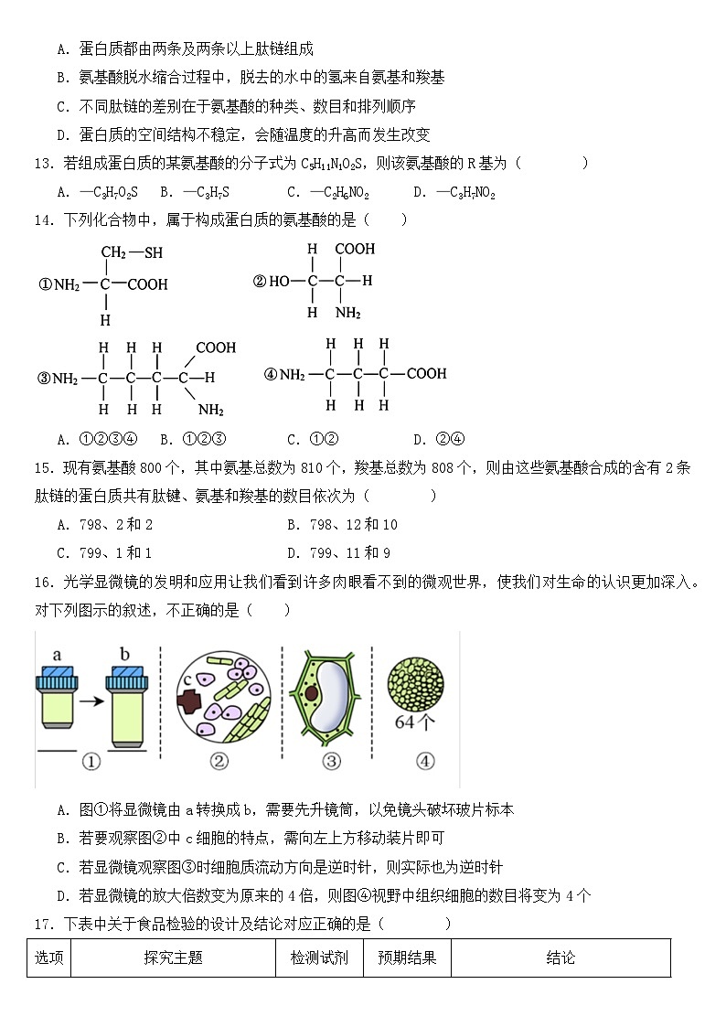 福建省莆田市第十五中学2024-2025学年高一年级上学期期中考试生物试题第3页