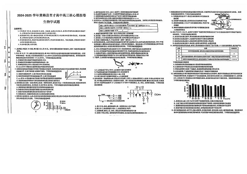 湖北省黄冈市黄梅县育才高级中学2024-2025学年高三核心模拟预测生物第1页