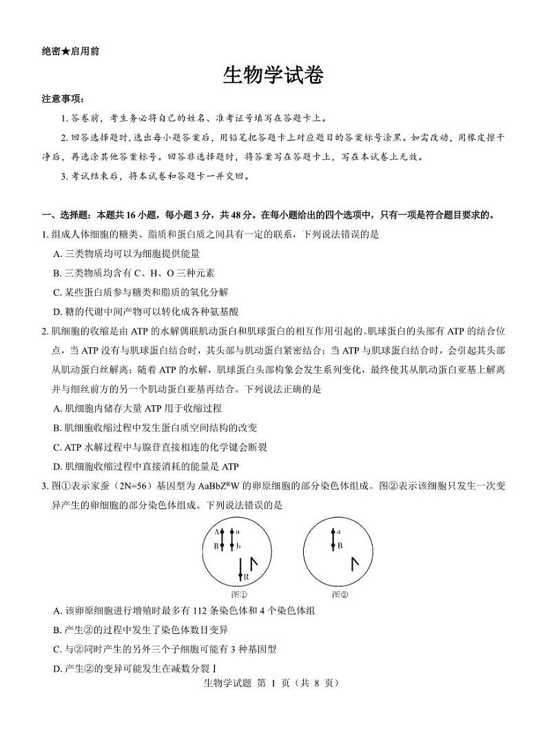名校教研联盟2025届高三上学期12月联考生物试卷（PDF版附解析）第1页