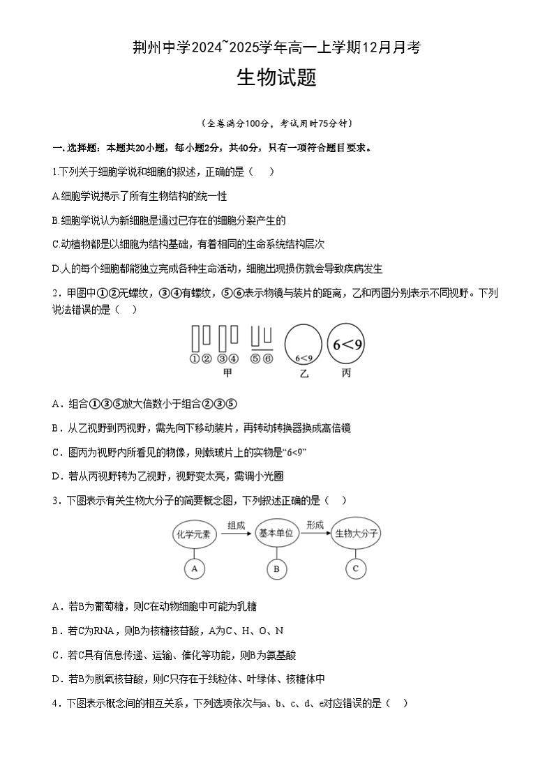湖北省荆州中学2024-2025学年高一上学期12月月考生物试题第1页