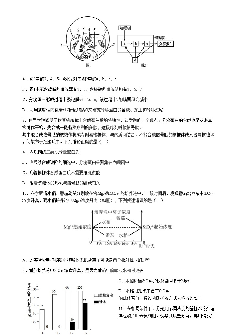 湖北省荆州中学2024-2025学年高一上学期12月月考生物试题第3页