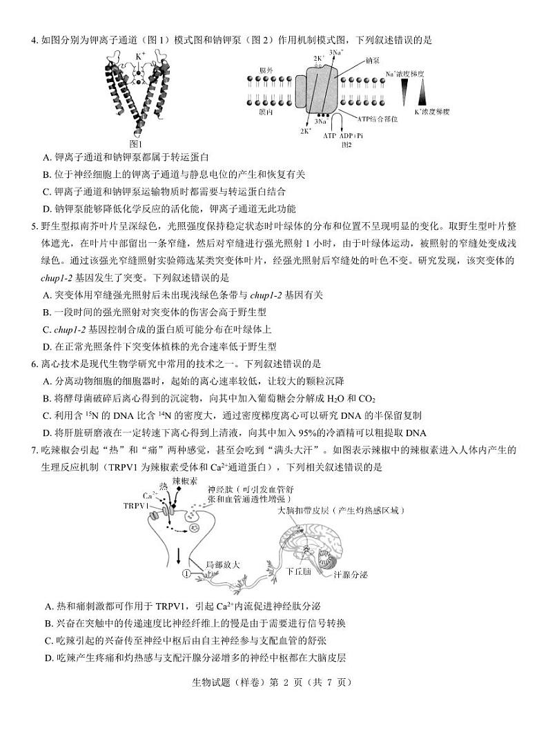 2025届高考仿真模拟卷 生物（样卷）.pdf第2页