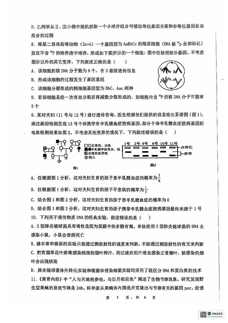 安徽省六安第二中学2024-2025学年高三上学期12月月考生物试卷（PDF版附答案）第3页