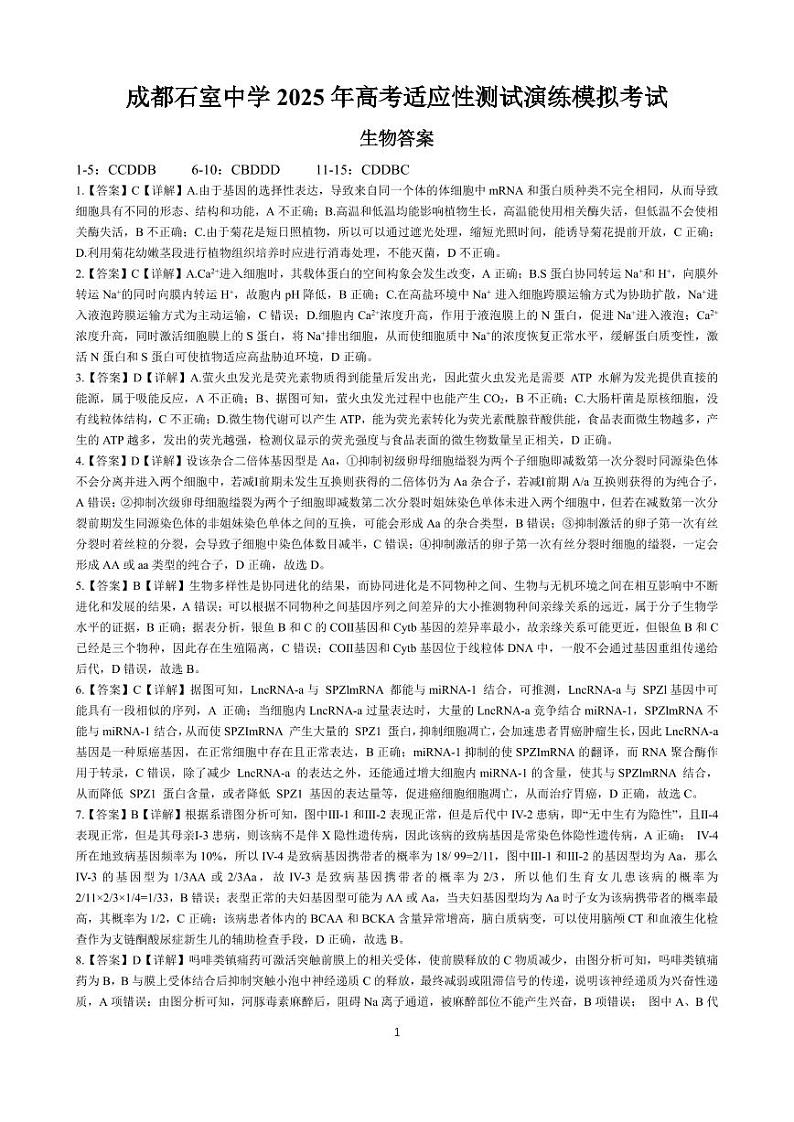 成都石室中学 2025 年高考适应性测试演练模拟考试 生物答案第1页