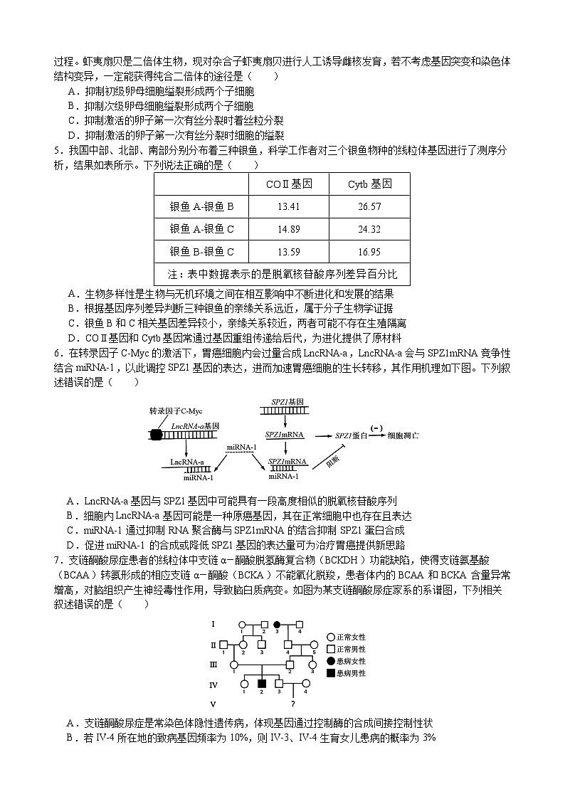 成都石室中学 2025 年高考适应性测试演练模拟考试 生物第2页