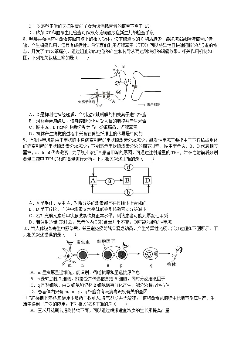 成都石室中学 2025 年高考适应性测试演练模拟考试 生物第3页