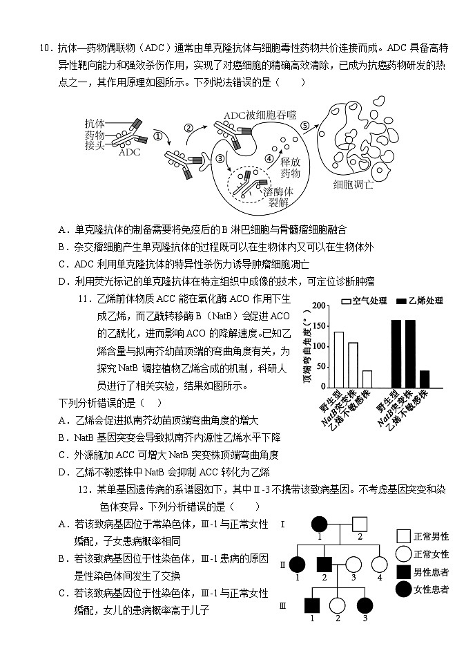 湖北省荆州市沙市中学2024-2025学年高三上学期12月月考生物+答案第3页