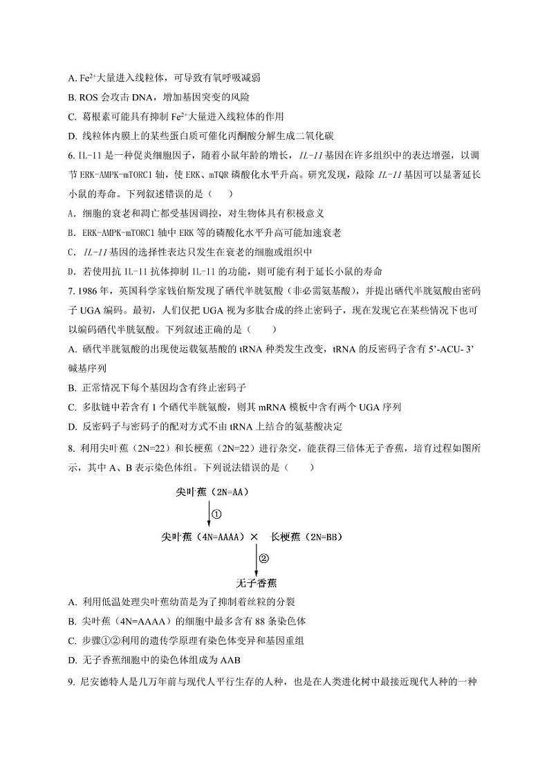 湖南省浏阳市校联盟2024-2025学年高三上学期12月联考生物试题第2页
