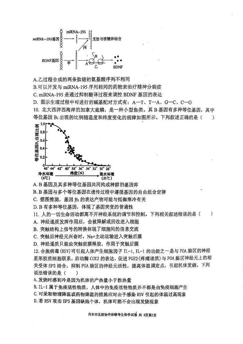 辽宁省丹东市五校协作体2024-2025学年高三上学期12月月考试题 生物 PDF版含答案第3页
