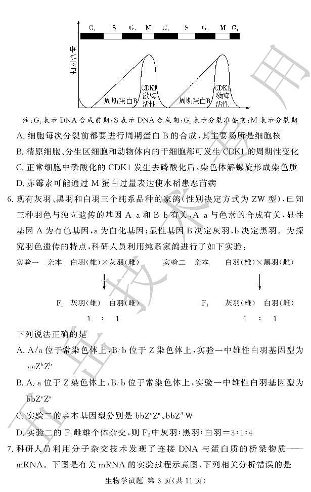 高三12月模拟试卷--生物第3页